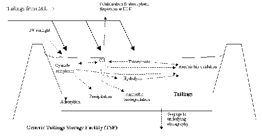 figure 6.1. general fate of cyanide in tailings storage facilities (smith and mudder, 1993)