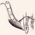 http://www.lilithpress.ca/images/inventions-plough.jpg