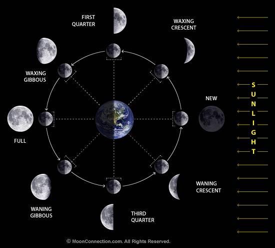 http://www.hmmh.com/blog/wp-content/uploads/2009/09/moon_phases_diagram1.jpg