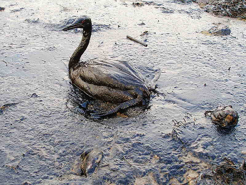 http://endoftheamericandream.com/wp-content/uploads/2010/05/the-gulf-of-mexico-oil-spill1.jpg
