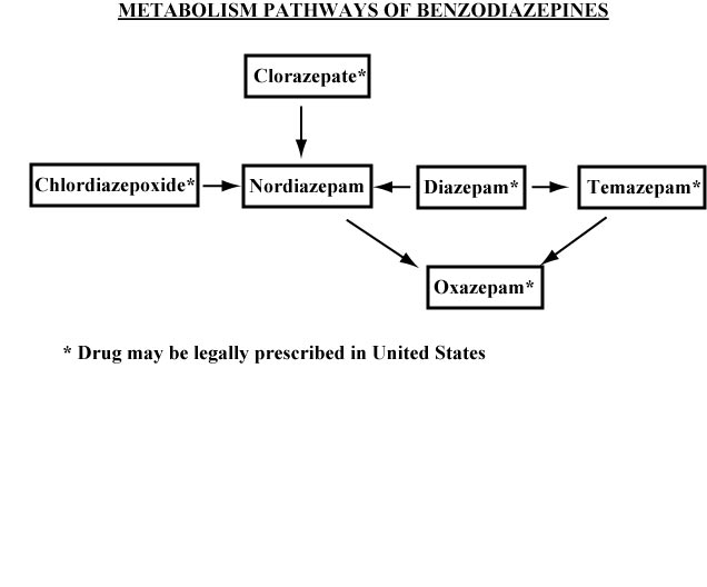 figure_2_benzodiazepine_pathways.jpg