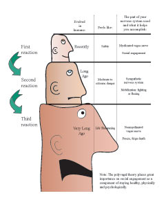 http://www.nexuspub.com/images/articles/2006/polyvagalchart1.jpg