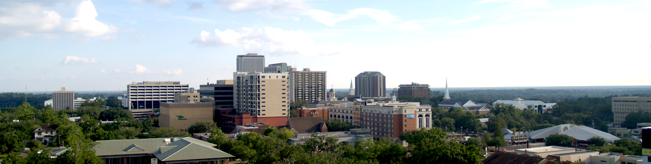 http://upload.wikimedia.org/wikipedia/commons/6/60/tallahasseecityscape.png