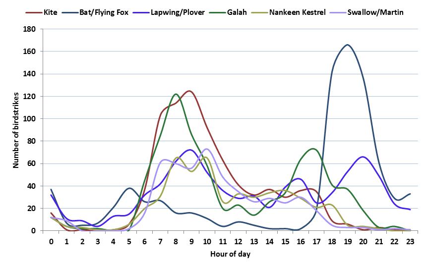 figure 31: birdstrikes by bird type by hour of day over the 2002-2011 period