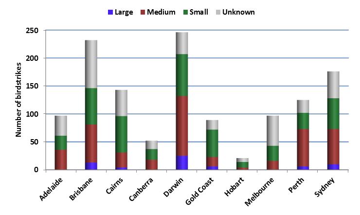 figure 17: birdstrikes at major airports (aerodrome confines only) by bird size for the 2012-2013 period