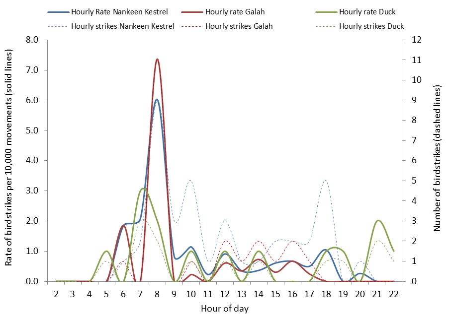 figure 58: hourly strike counts and strike rates per 10,000 movements for the top three species (where known) struck at perth aerodrome, 2004 – 2013. the strike rates are displayed by solid lines (left side axis), the strike counts are displayed by dotted lines (right side axis).