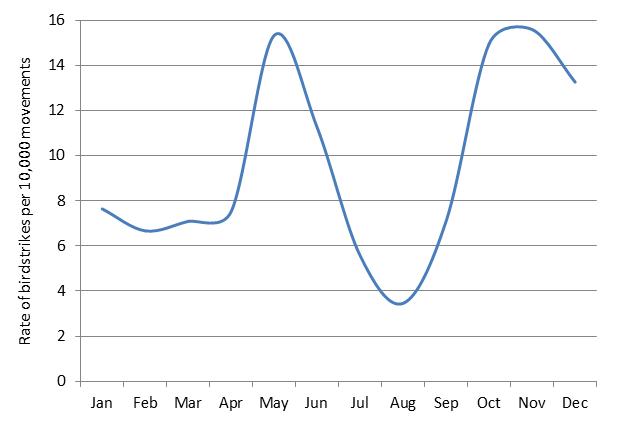 figure 65: monthly birdstrike rates for darwin aerodrome, 2004 - 2013