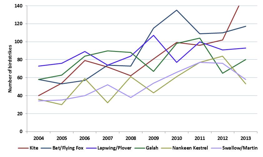 figure 30: number of birdstrikes for the top 6 most frequent bird types struck by year, 2004 to 2013