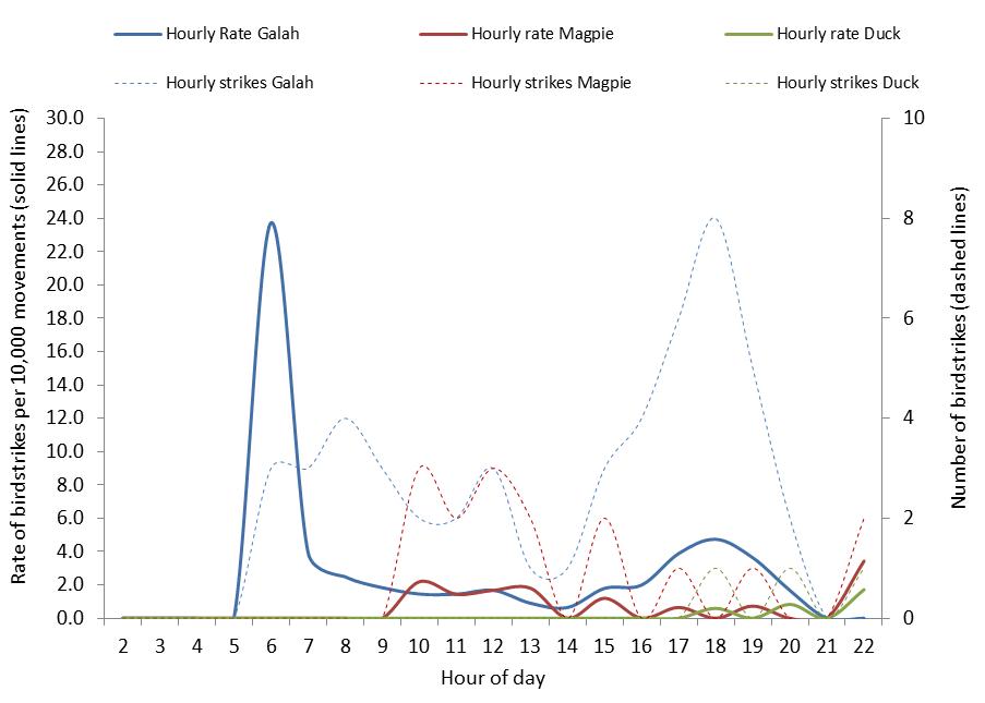 figure 48: hourly strike counts and strike rates per 10,000 movements for the top three species (where known) struck at canberra aerodrome, 2004 – 2013. the strike rates are displayed by solid lines (left side axis), the strike counts are displayed by dotted lines (right side axis).