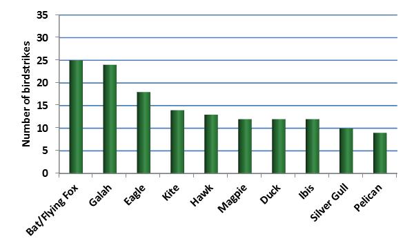 figure 35: general aviation damaging birdstrikes by bird type, 2004 2013