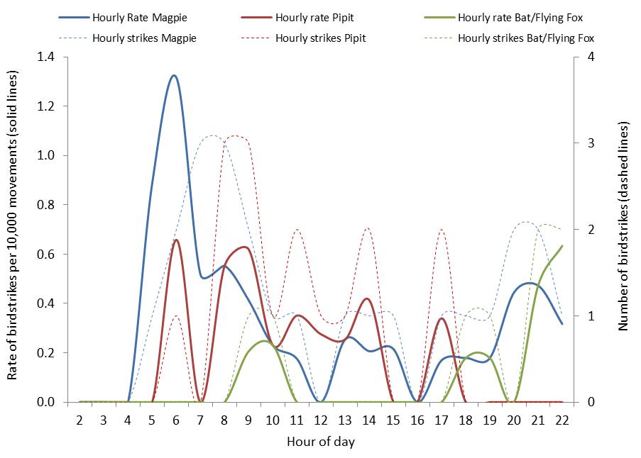 figure 56: hourly strike counts and strike rates per 10,000 movements for the top three species (where known) struck at melbourne aerodrome, 2004 – 2013. the strike rates are displayed by solid lines (left side axis), the strike counts are displayed by dotted lines (right side axis).