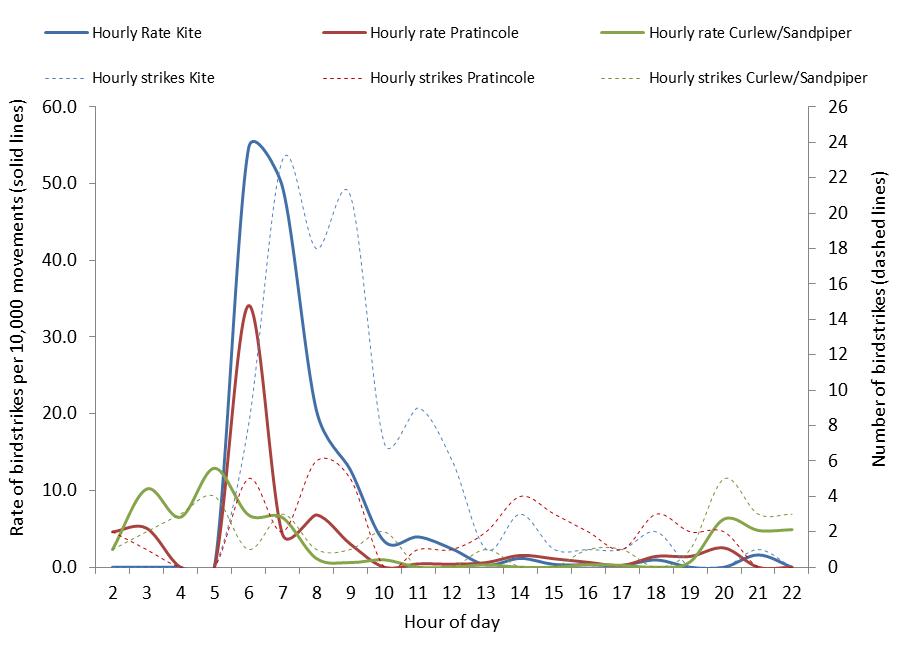 figure 50: hourly strike counts and strike rates per 10,000 movements for the top three species (where known) struck at darwin aerodrome, 2004 – 2013. the strike rates are displayed by solid lines (left side axis), the strike counts are displayed by dotted lines (right side axis).