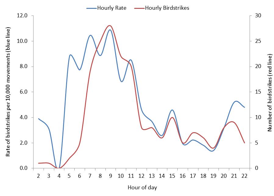 figure 41: total hourly birdstrike counts and rates per 10,000 movements for adelaide aerodrome, 2010 – 2013. the strike rate is displayed in blue (left side axis); the strike count is displayed in red (right side axis).