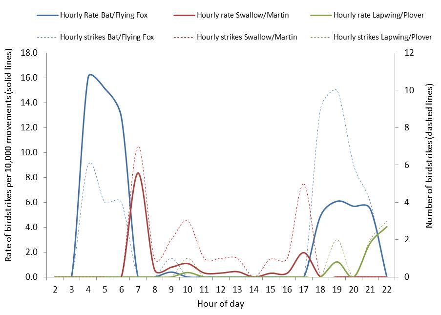 figure 46: hourly strike counts and strike rates per 10,000 movements for the top three species (where known) struck at cairns aerodrome, 2004 – 2013. the strike rates are displayed by solid lines (left side axis), the strike counts are displayed by dotted lines (right side axis).