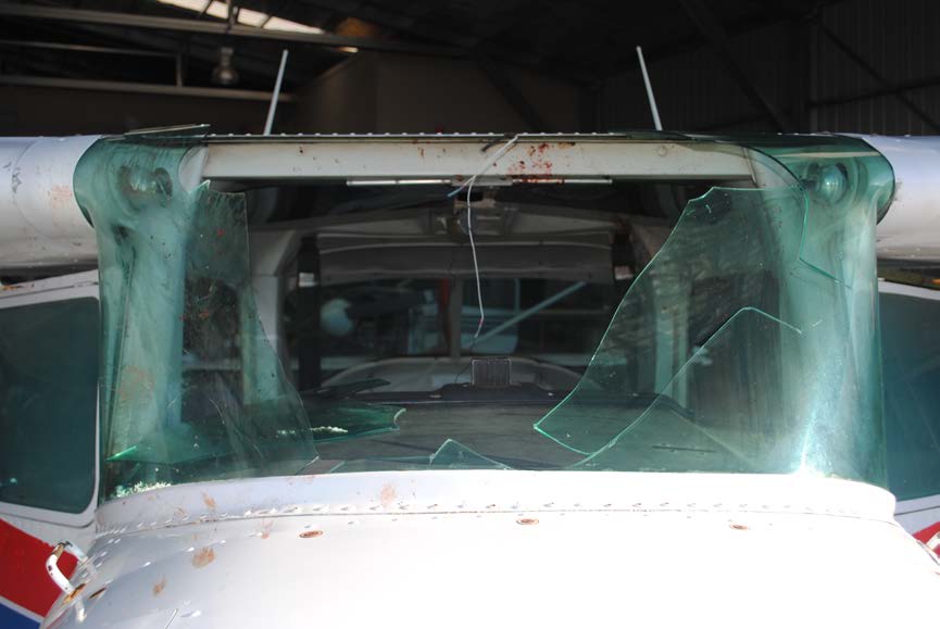 the result of an impact with a flying fox, showing where the animal penetrated the windshield of the cessna 152. source: atsb