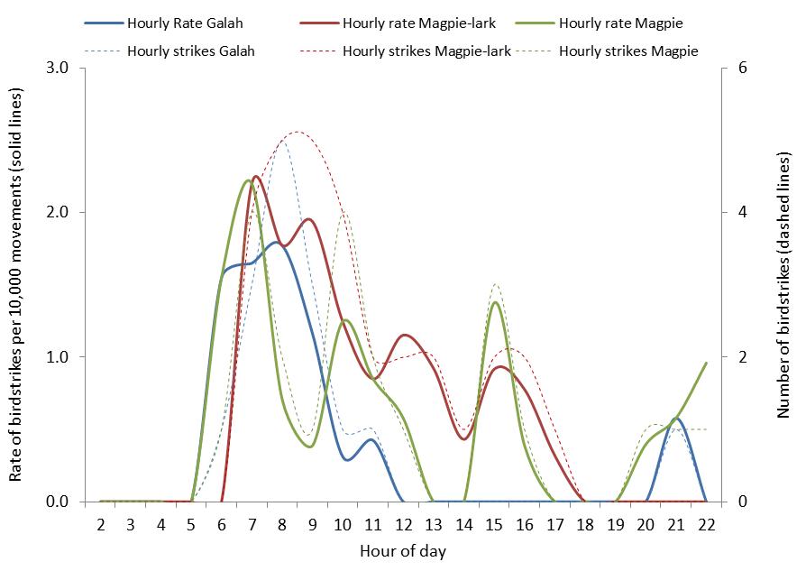 figure 42: hourly strike counts and strike rates per 10,000 movements for the top three species (where known) struck at adelaide aerodrome, 2004 – 2013. the strike rates are displayed by solid lines (left side axis), the strike counts are displayed by dotted lines (right side axis).