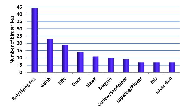 figure 33: high capacity air transport damaging birdstrikes by bird type, 2004 2013