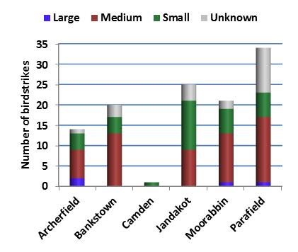 figure 19: birdstrikes at metropolitan class d airports (aerodrome confines only) by bird size for the 2012-2013 period