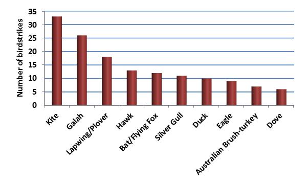 figure 34: low capacity air transport damaging birdstrikes by bird type, 2004 2013 