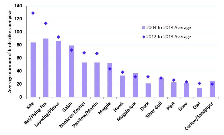 figure 29: average number of birdstrikes per year by bird type, 2004 to 2013