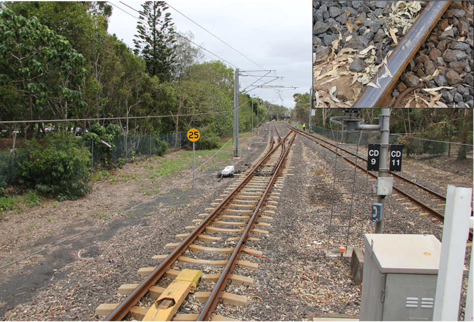 figure 6: view from cleveland station platform showing leaf litter about the track and (insert) crushed on the rail head