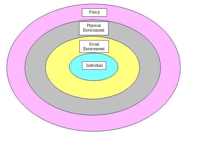 social ecological model