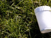 styrofoam-cup-on-grass