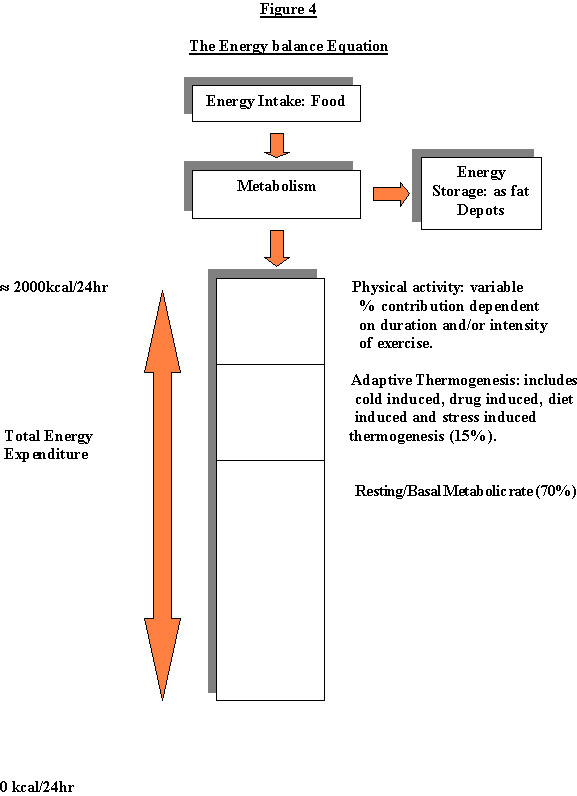 http://img.medscape.com/pi/emed/ckb/endocrinology/116364-123702-1482.jpg