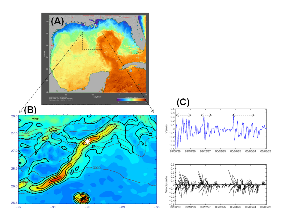 figure1abc_topocaustics09