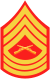 usmc-e8-msg.svg