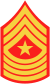 usmc-e9-sgm.svg