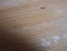 http://upload.wikimedia.org/wikipedia/commons/thumb/a/a4/moving_penny.gif/225px-moving_penny.gif