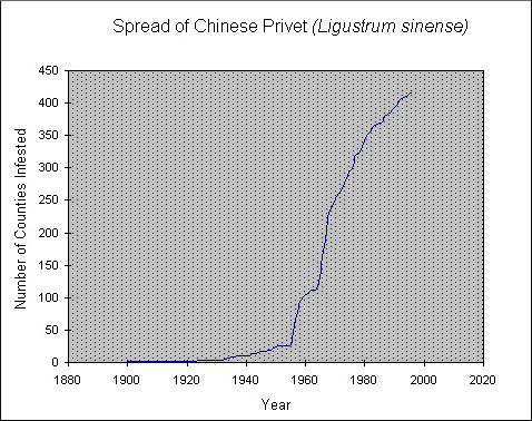 ligustchart