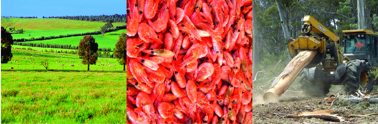 image 1 – australian farm landscape image 2 – australian prawns image 3 – australian logging tractor 