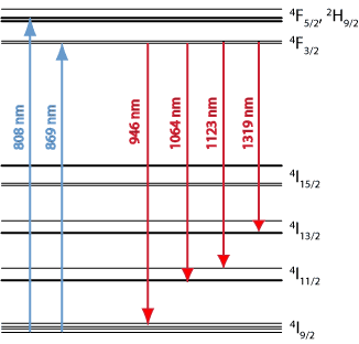 energy level structure of the trivalent neodymium ion in nd:yag