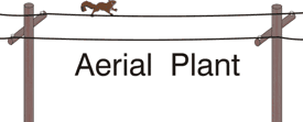 c:\users\cyoung\desktop\glossary of terms\drawings_diagrams\aerial plant.gif