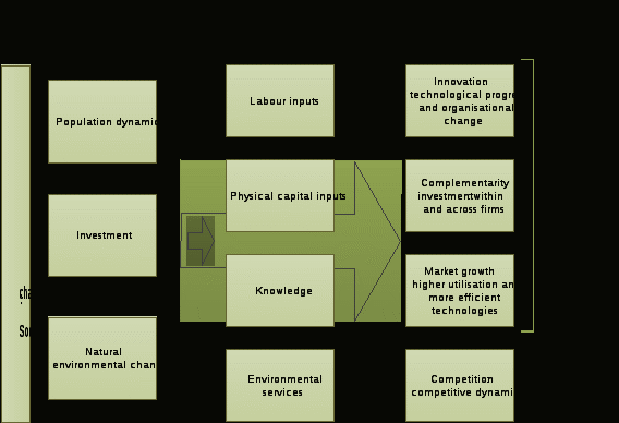 sources of output growth and productivity growth