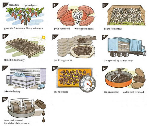 http://www.ieltsbuddy.com/images/605xnxielts-process-chocolate.jpg.pagespeed.ic.u4no7w21d2.jpg