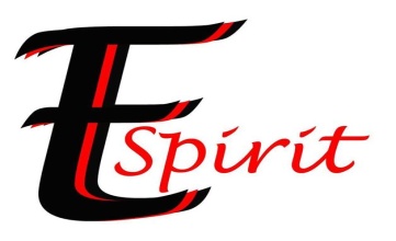 espirit symbol.jpg