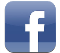 http://www.softwarecrew.com/wp-content/uploads/2011/12/facebook_icon.png