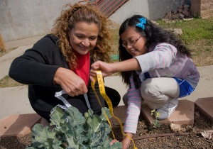 real school gardens are growing successful students