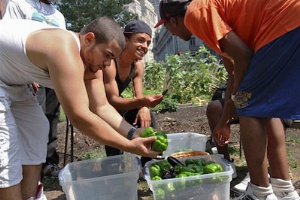 redefining environmental education practice in urban society: new us epa funded national ee training program announced