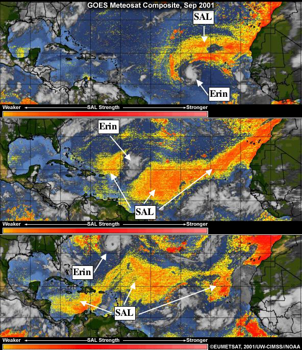 sal hurricane erin 2001