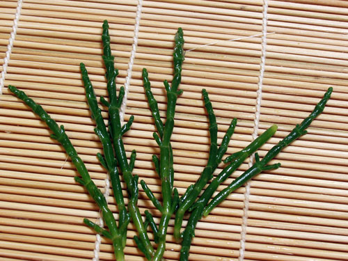 blanched-sea-asparagus