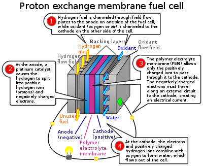 http://upload.wikimedia.org/wikipedia/commons/thumb/0/0d/pem_fuelcell.svg/400px-pem_fuelcell.svg.png