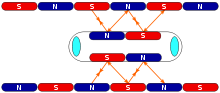 http://upload.wikimedia.org/wikipedia/commons/thumb/c/c2/maglev_propulsion.svg/220px-maglev_propulsion.svg.png