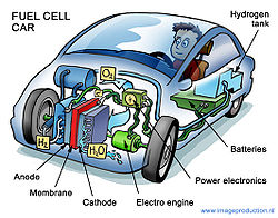 http://upload.wikimedia.org/wikipedia/commons/thumb/e/e6/fuelcell.jpg/250px-fuelcell.jpg