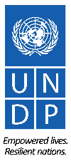 image result for undp logo