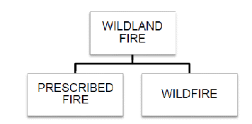 flow chart. this figure shows two types of wildland fire, as defined by the nps, prescribed fire and wildfire. 