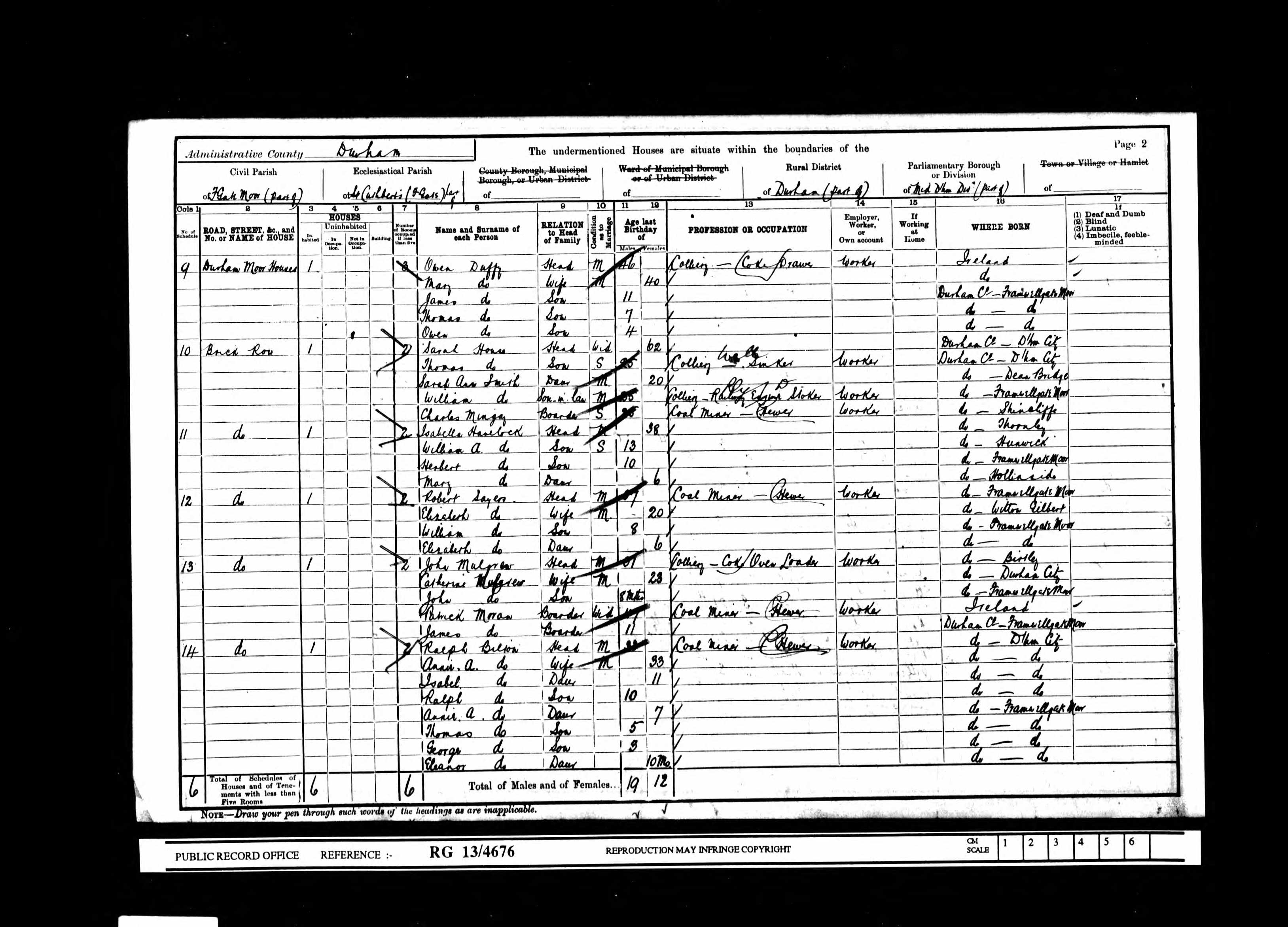 1901 census.jpg